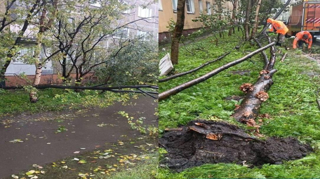В Мурманске коммунальщики устраняют последствия разгулявшейся стихии